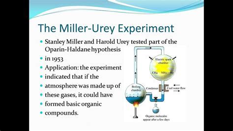 miller urey experiment results|stanley miller experiment.